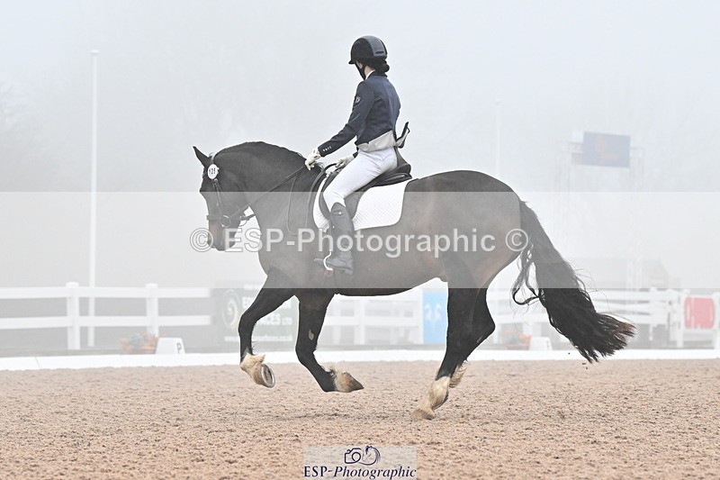 240217A-133349-03195 - 125-Rebecca.Ezra-Ham-Maesmynach.Mr.Sam