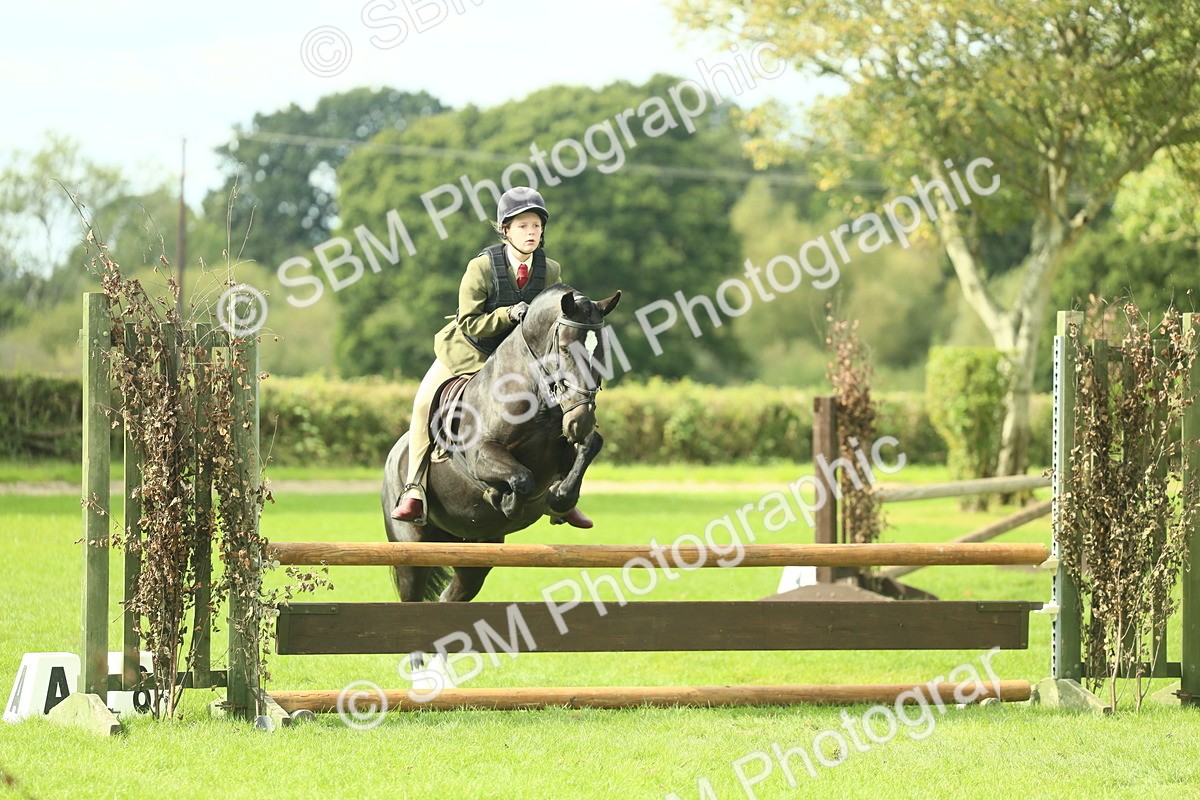 SBM_44743 - S31 - Working Hunter Pony