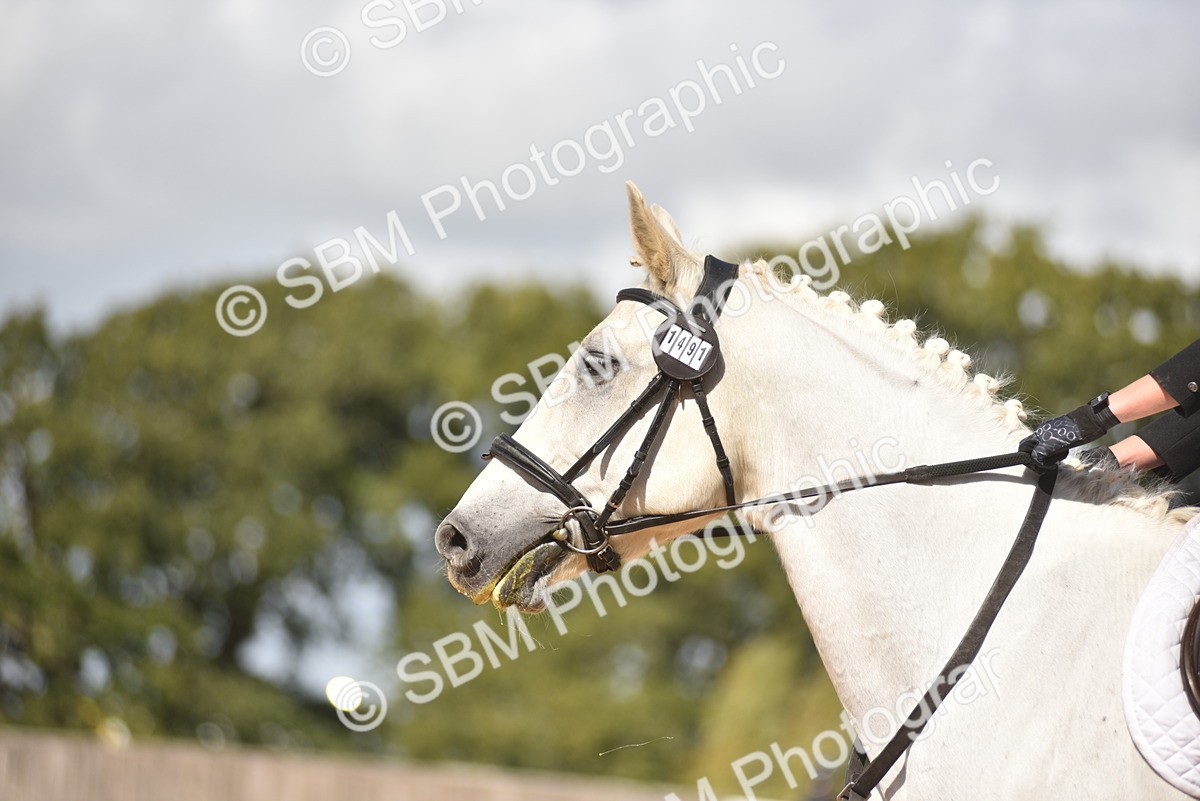 SBM_03101 - D4 - Small Tour Championship Intro 4
