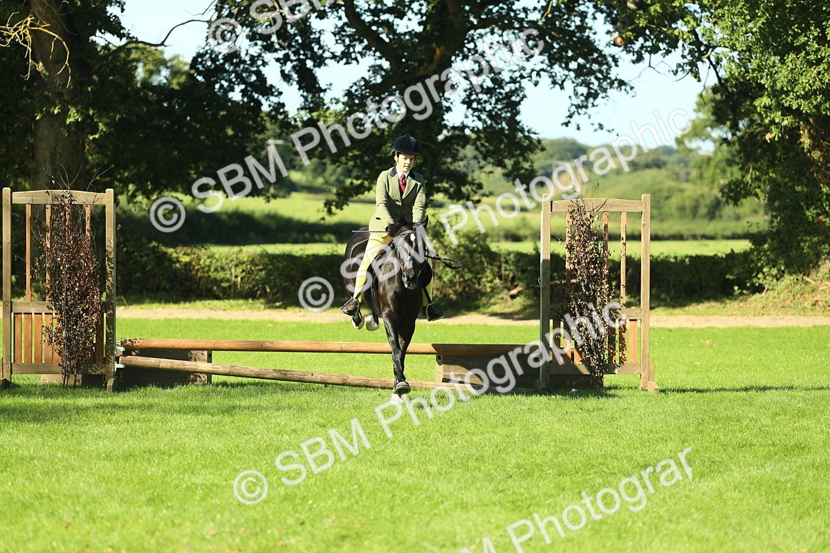 SBM_37400 - S29 - Novice & Newcomers Working Hunter Pony