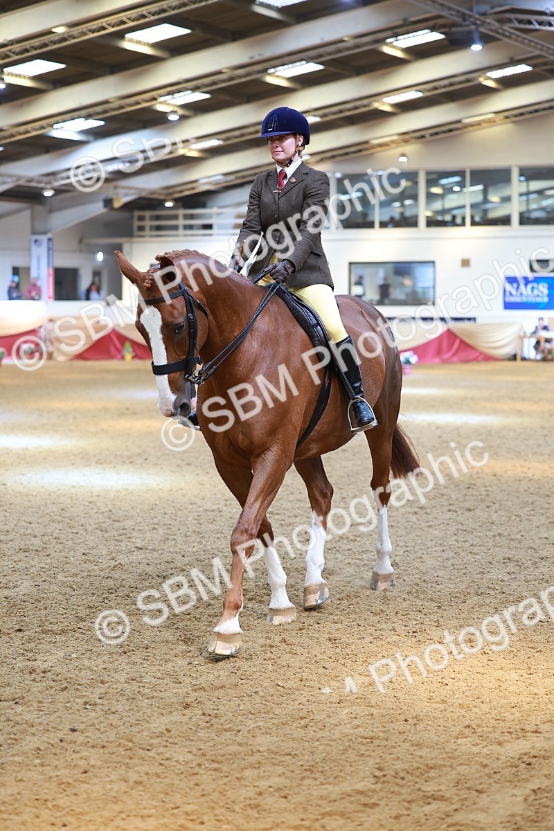 SBM_12574 - Class 103 - HOYS Veteran Qualifier - Ridden Pre Vet