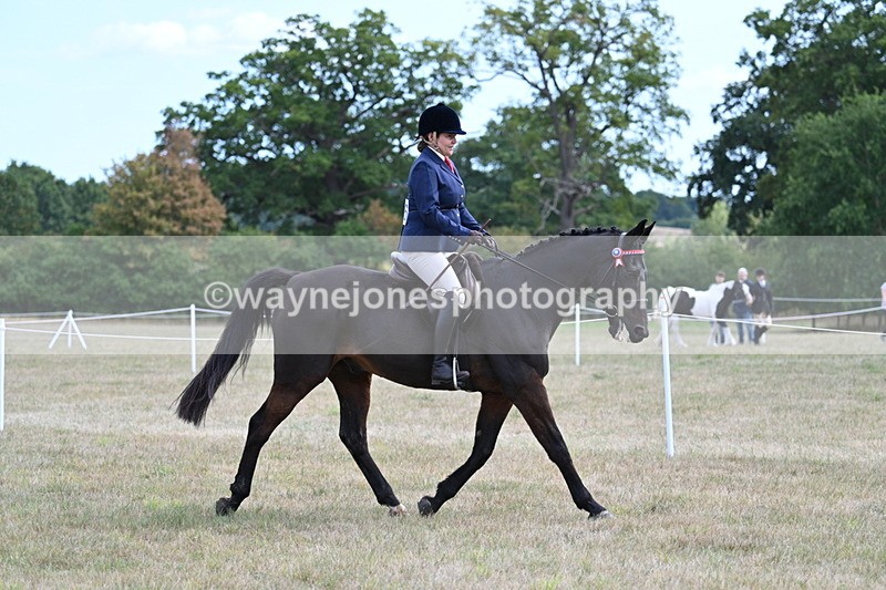 WJ7_5964 - Class 13 Ridden Veterans