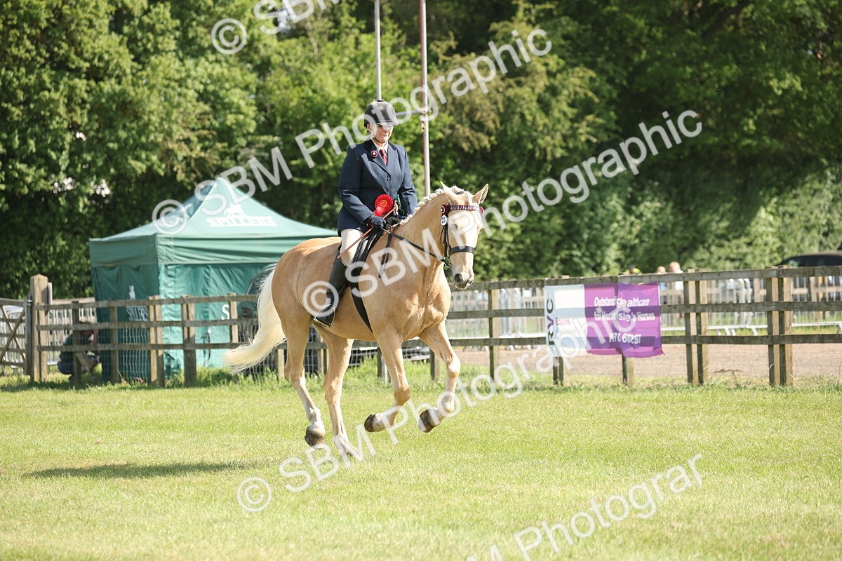 SBM_09725 - Class 33-38 - SSADL RIHS Qualifiers