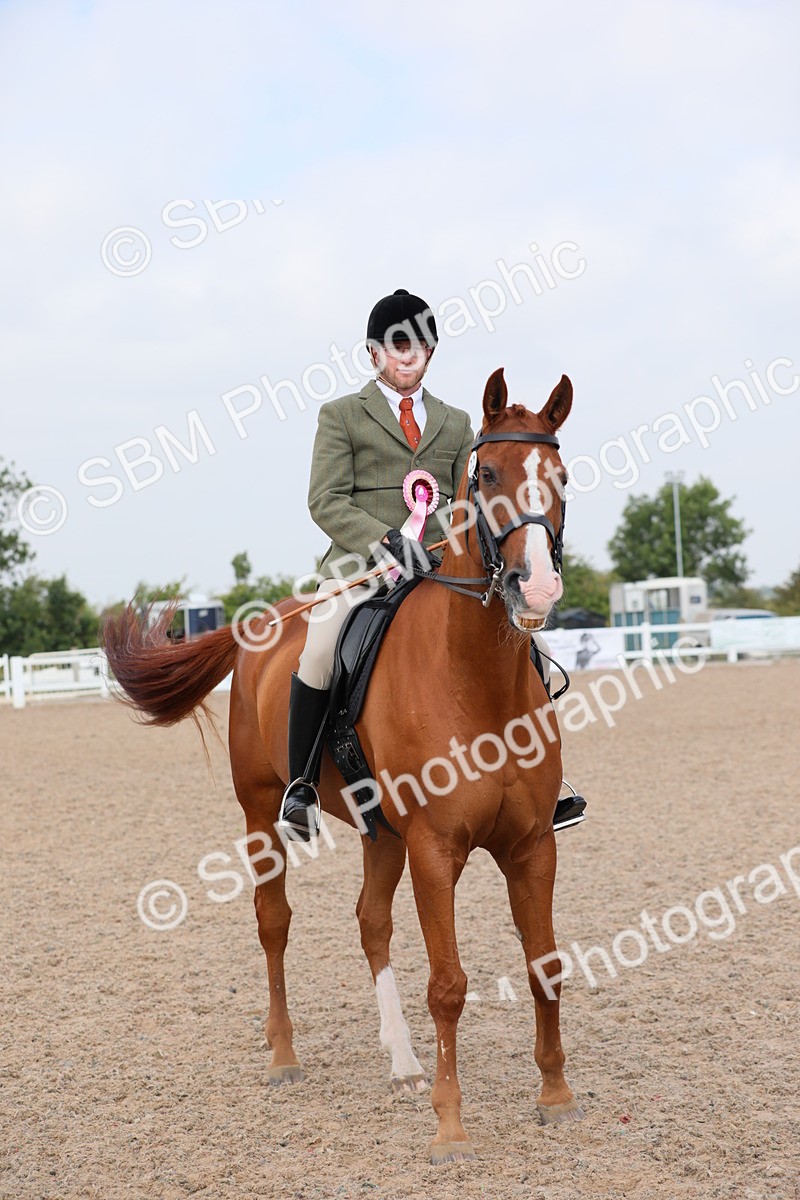 SBM_11491 - Class 305 Ridden Foreign Breeds- Pure Bred