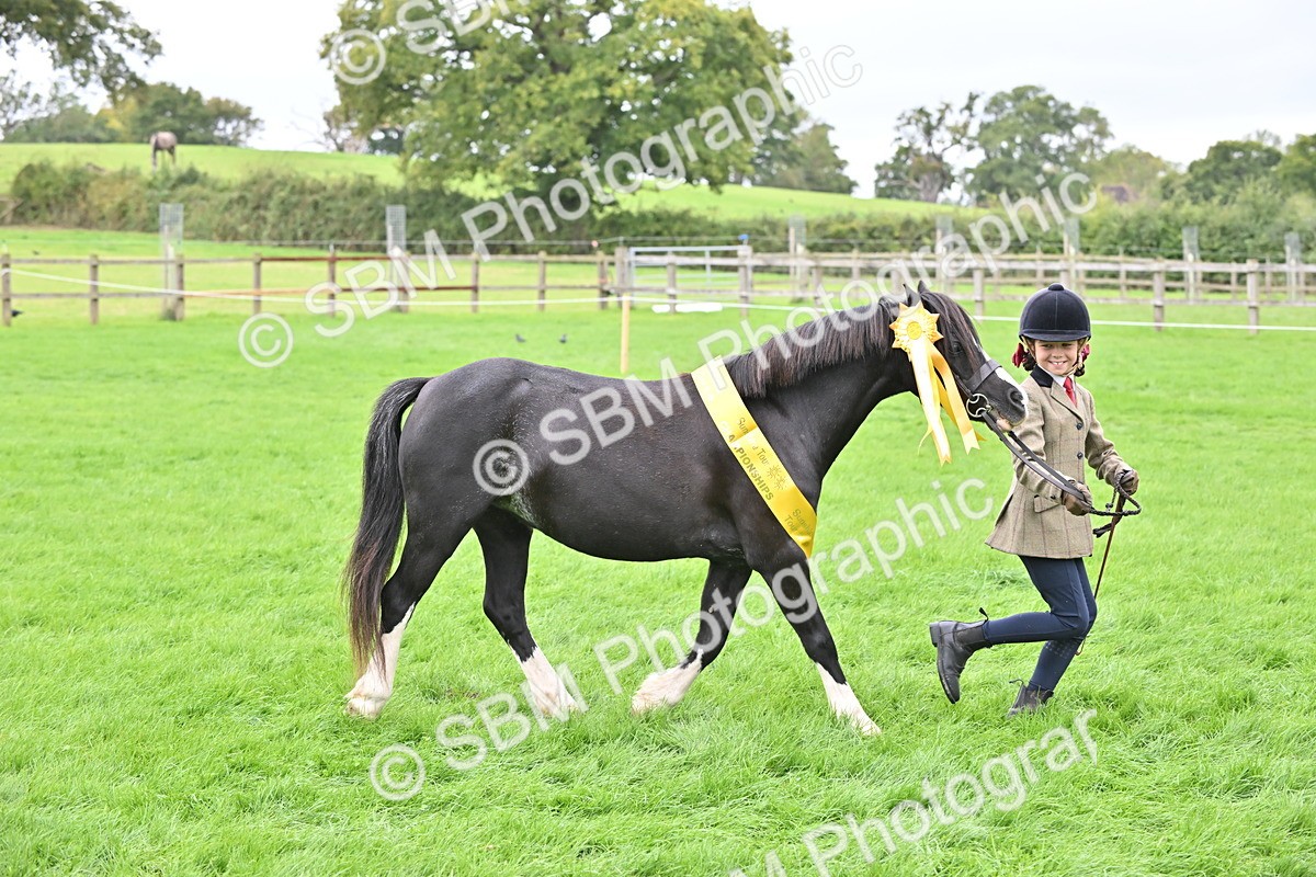 SBM_66839 - S41 - Junior Handler 8 Years & Under