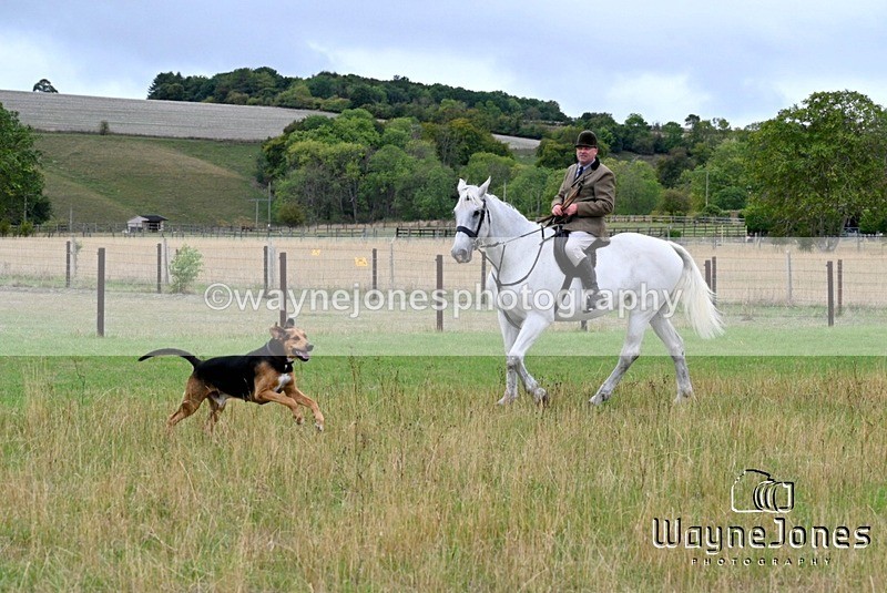 WJ7_0597 - Berks & Bucks Hound Exercise Blewbury 13-09-26