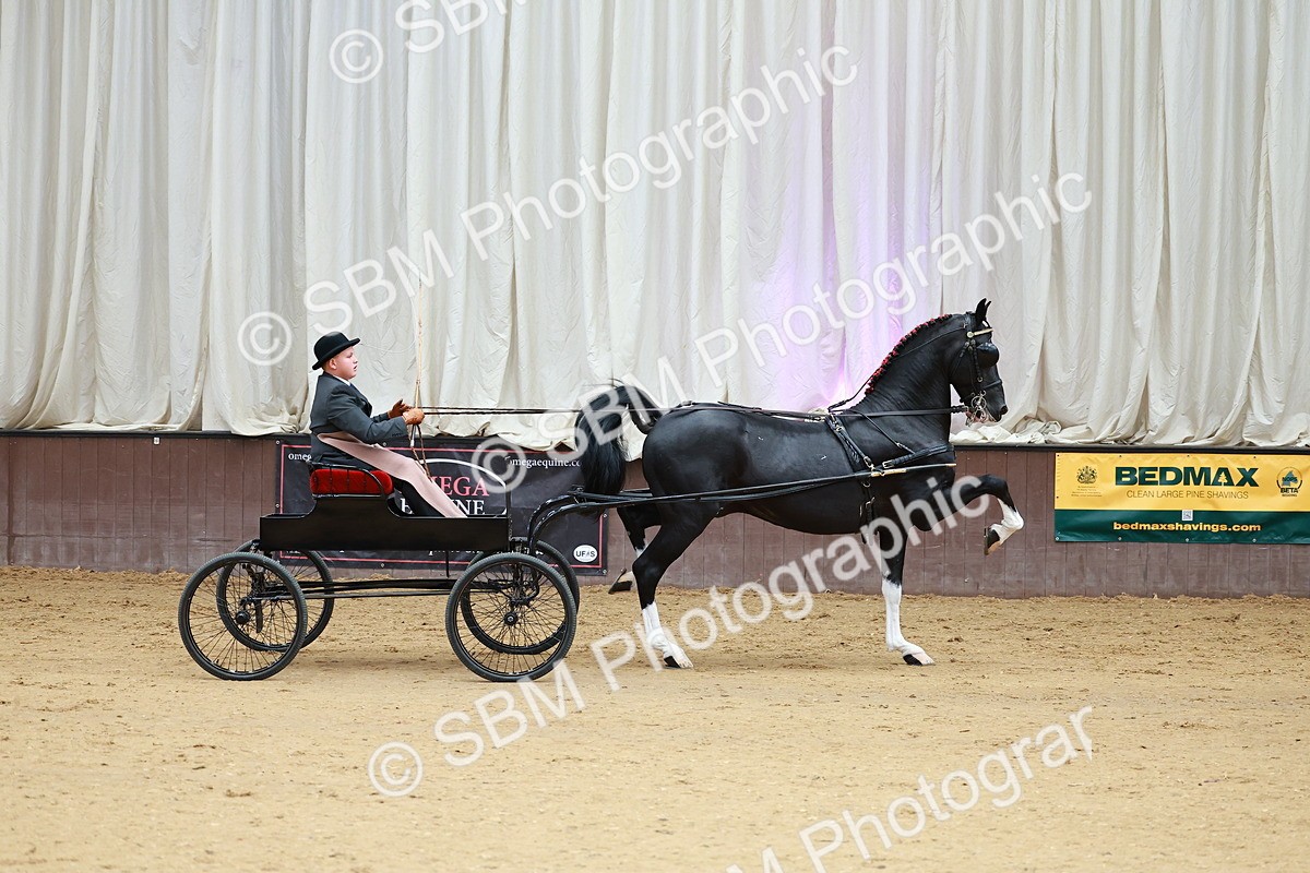 SBM_000996 - Class 13  - HHS Championship Intl Hackney Horse to a Show Wagon