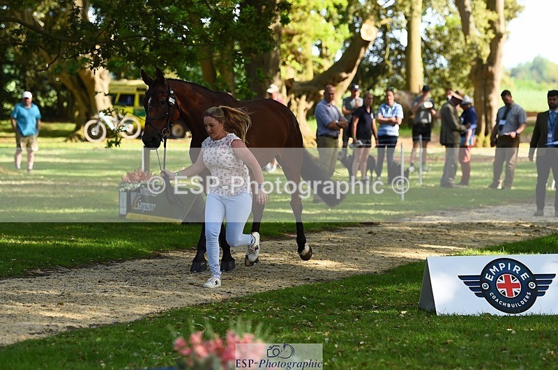 230524-171128-01335 - 158-RED_LETTER_DAY_II_(GB)-Imogen_Murray-WEDTrotUp+DR