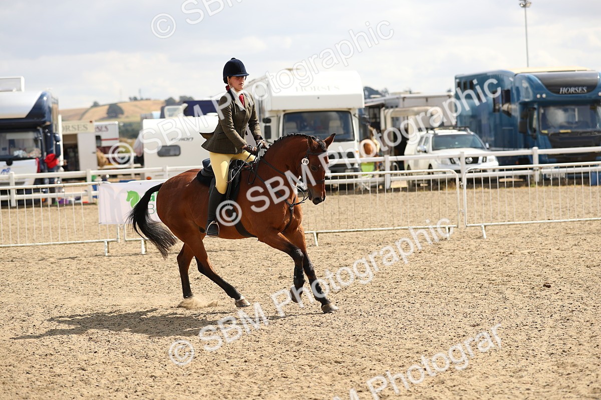 SBM_04232 - Class 46a Style & Performance 50cm (15-19)