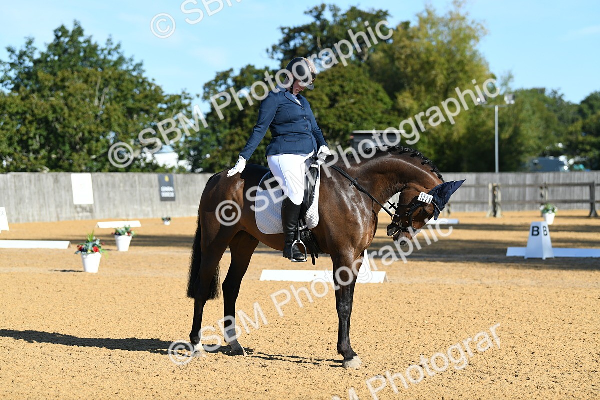 SBM_16175 - D4 - Small Tour Championship - Intro B