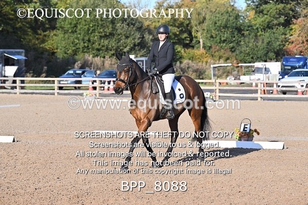 BPP_8088 - LONG ARENA