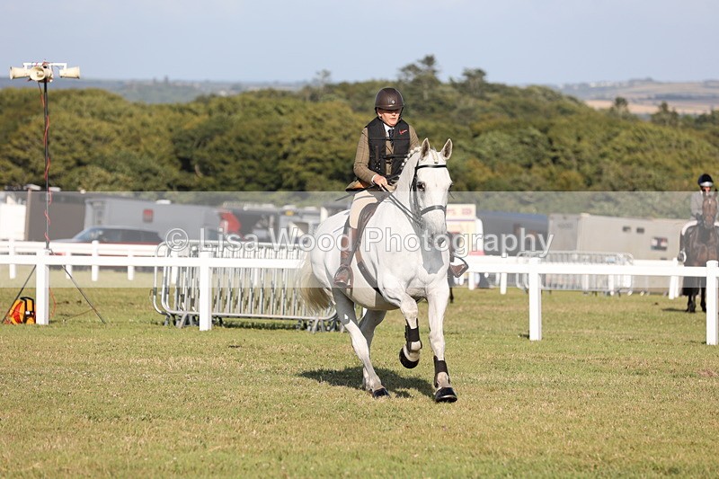 JPP_3341 - Class 22: Working Hunter 90cm