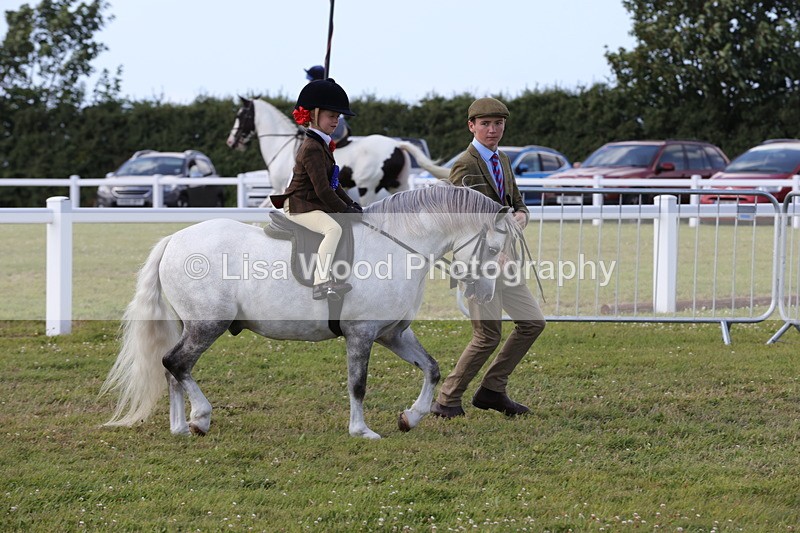 1X9A5490 - M&M Mini Ridden Championship