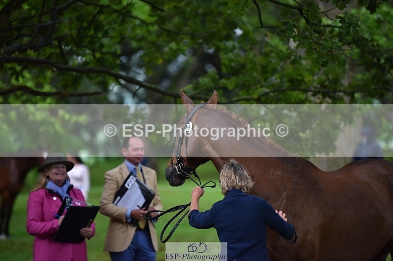 240522-162858-00949 - 258-KINGS_BELIEF-Mary_King