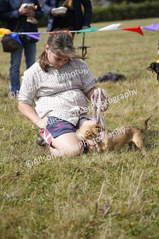 20250831-3648 - Dog Show