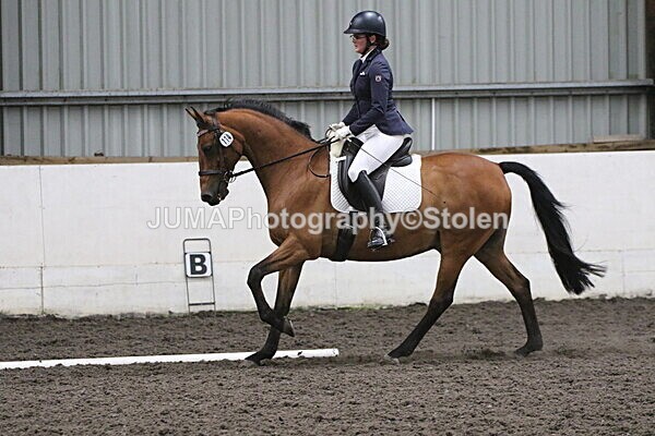 SIAL5589 - CAbin Dressage 5th july 2025
