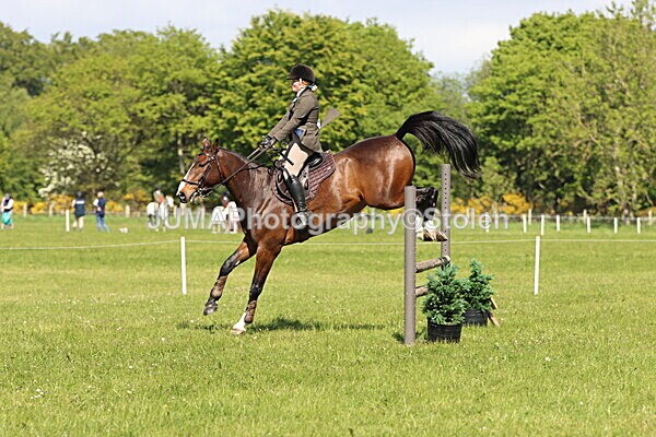 IMG_4462 - Working Hunter
