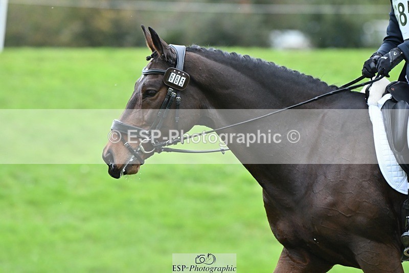 231020-152605-11477 - 685-ADRENALIN.II-Cosima.Atkinson-DR