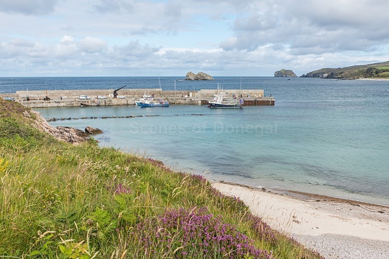 DSC_2824 - North Inishowen