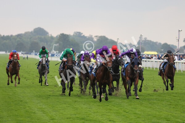 yr09102021r1-34 - Race 1 1.30pm Watch Racing Free Online At Coral Nursery Handicap