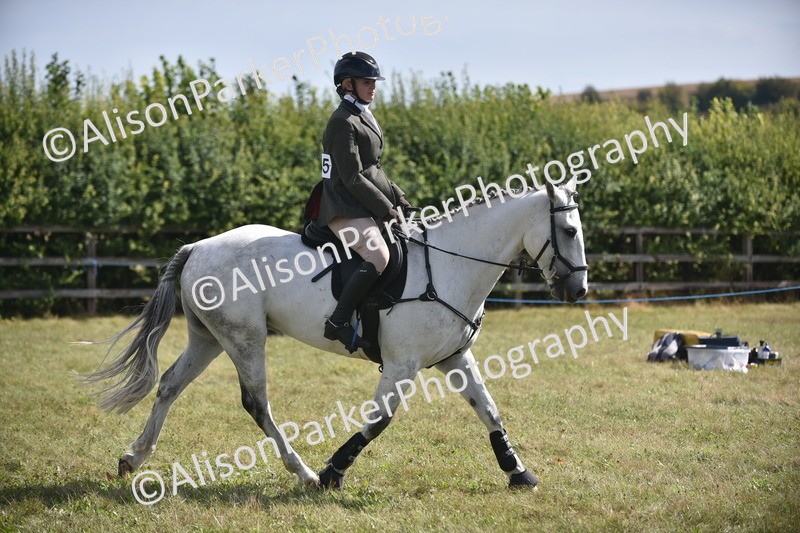 20260906-2706 - Class 13 - Working Hunter Horse or Pony