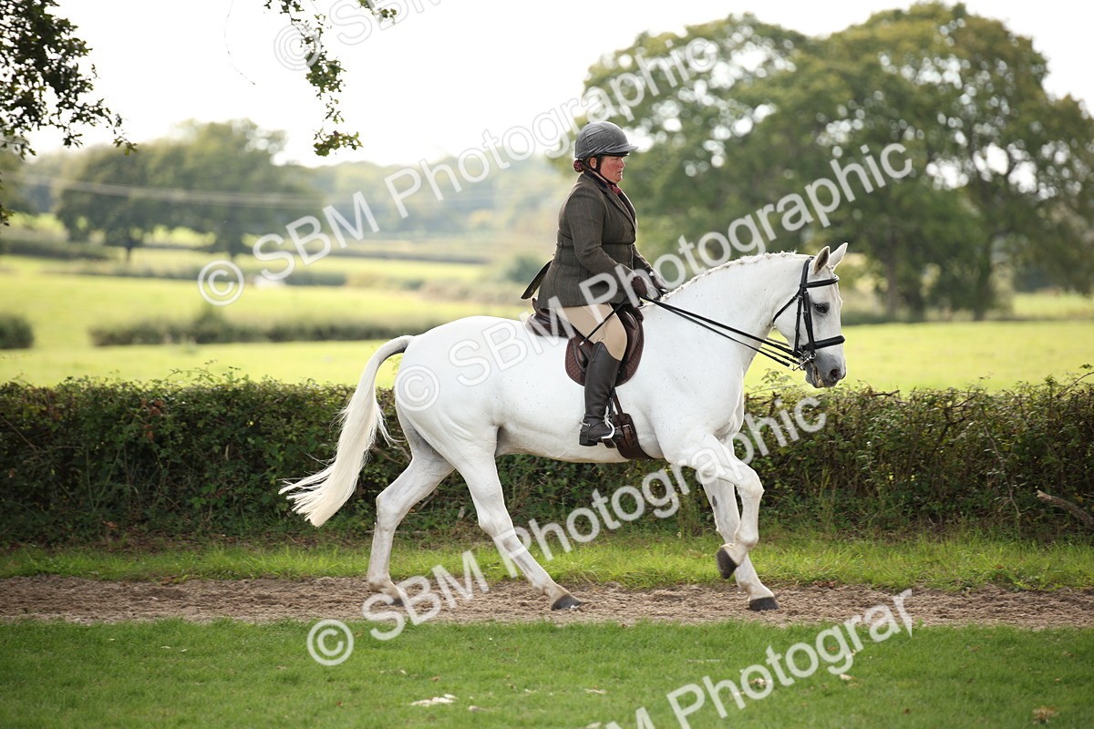 SBM_70386 - S66 - Hunter Ridden