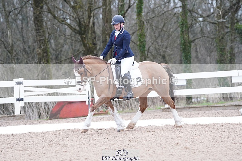 250214-094540-00062 - 167-Willow.Tarrant.Clark-Ashgrove.Wendi