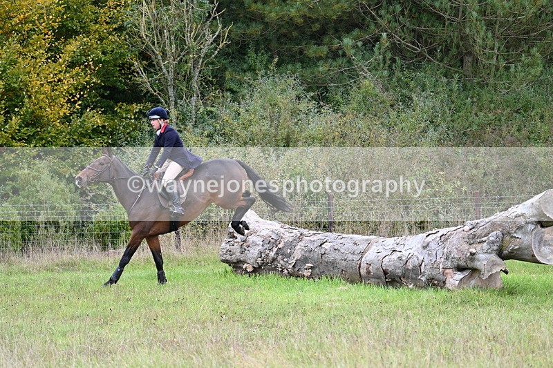 WJ7_3619 - Camera 1 Line 1