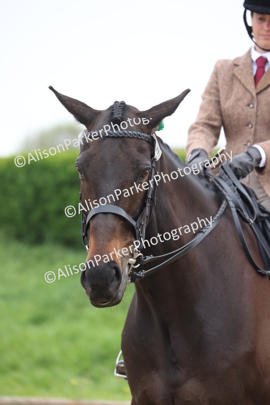 20260504-1178 - Class 14 - Cob and Hunter