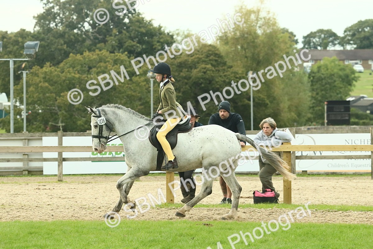SBM_74055 - S 61 - Show Pony & Show Hunter Pony Ridden