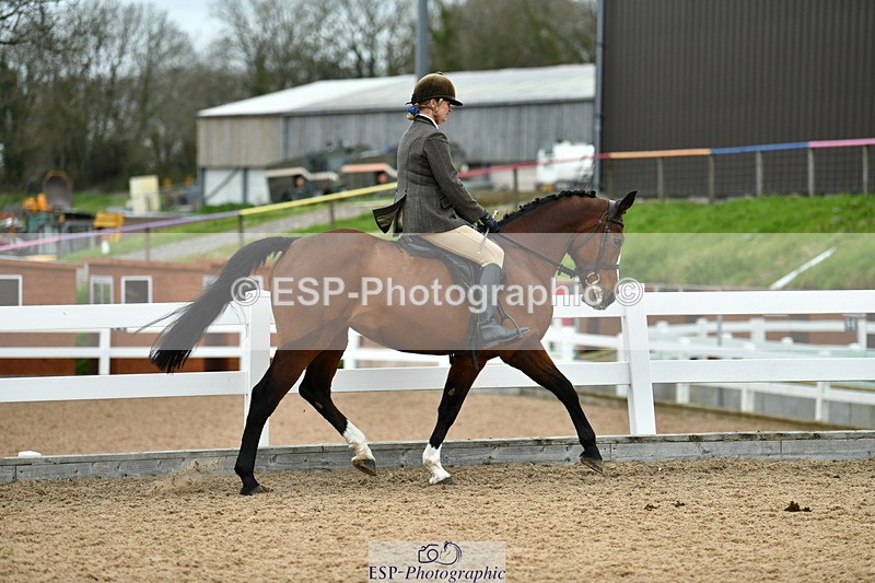 230416A-134510-04936 - Cls 60 Ridden Show Horse