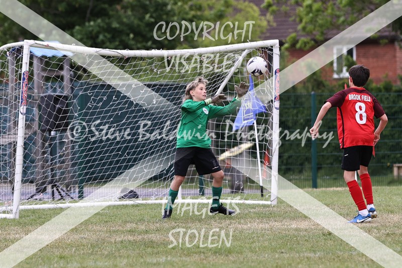 1DX31119 - Brook Field V Goddard Park
