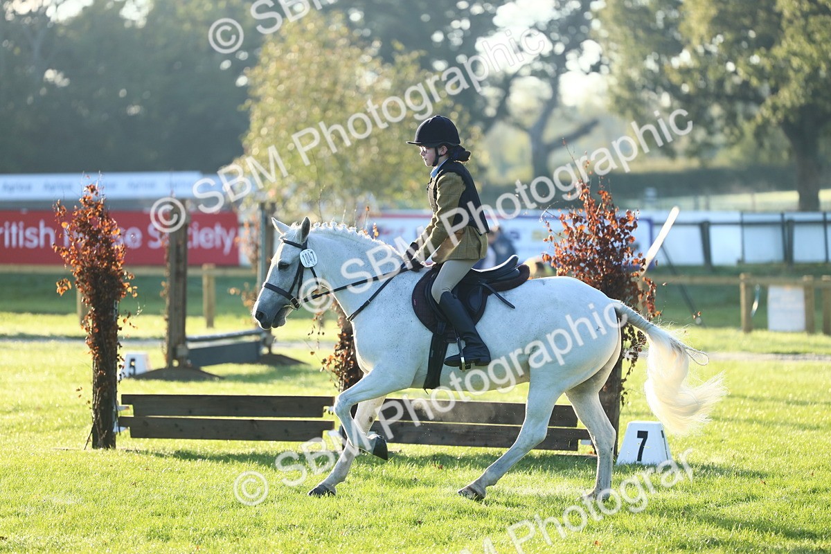 SBM_37133 - S29 - Novice & Newcomers Working Hunter Pony