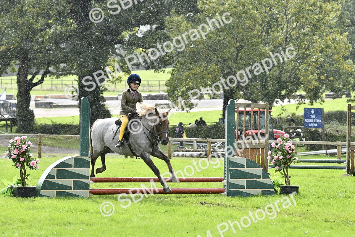 SBM_41405 - S32 - Mountain & Moorland Working Hunter Pony