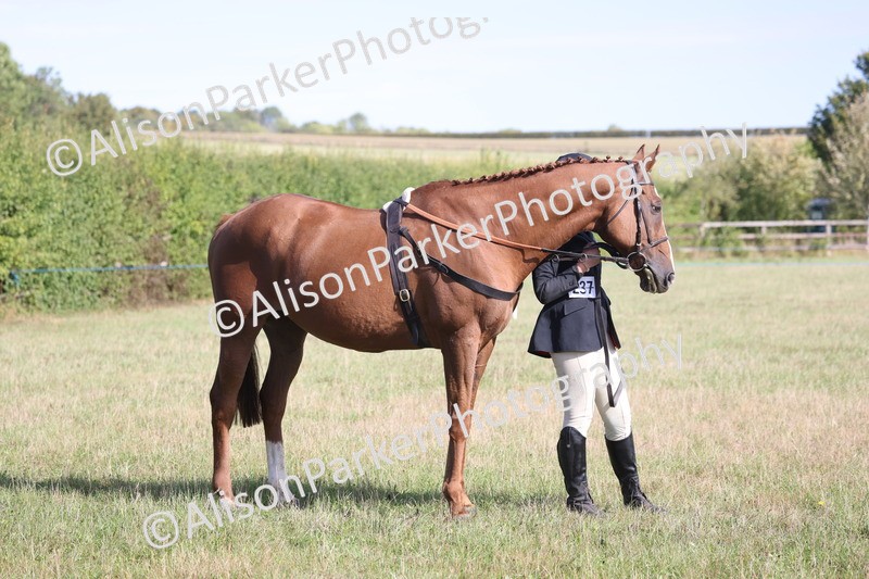 20260906-0704 - Class 22 - Ex Racehorse