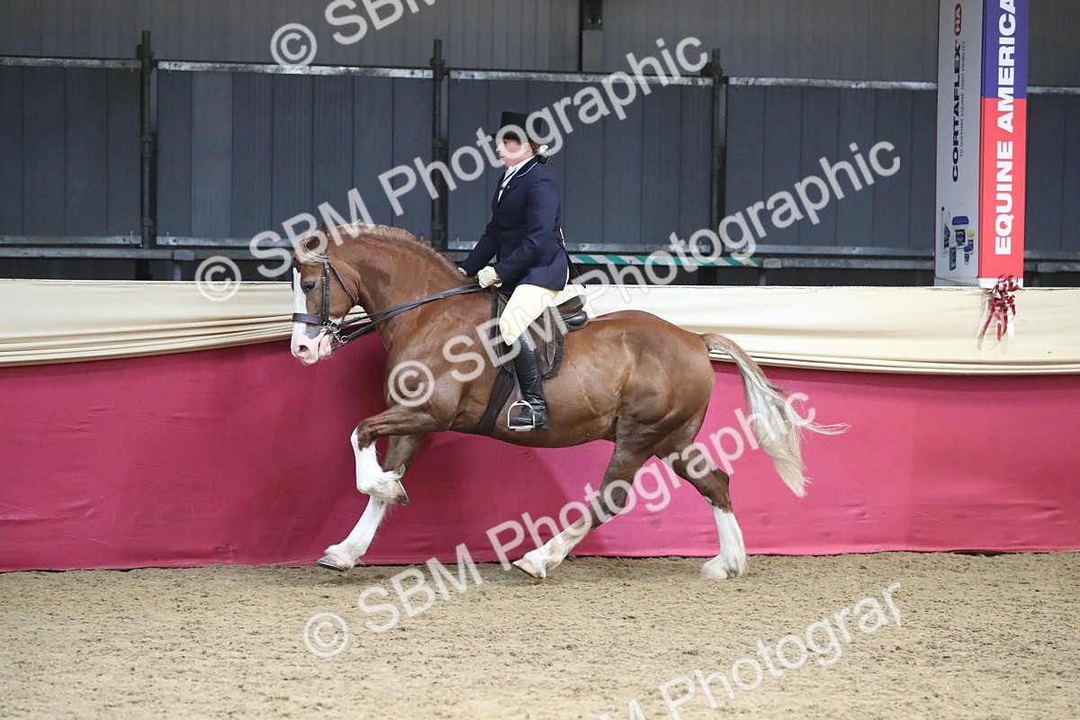 SBM_16382 - Class 502 M&M Ridden Supreme Final