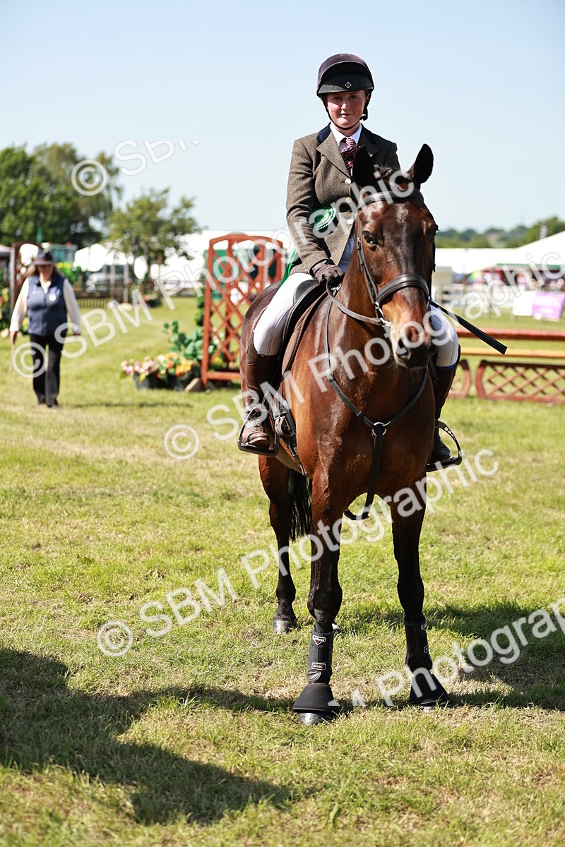 SBM_18475 - Class 112-113 - BSPS LIHS Working Sports Pony