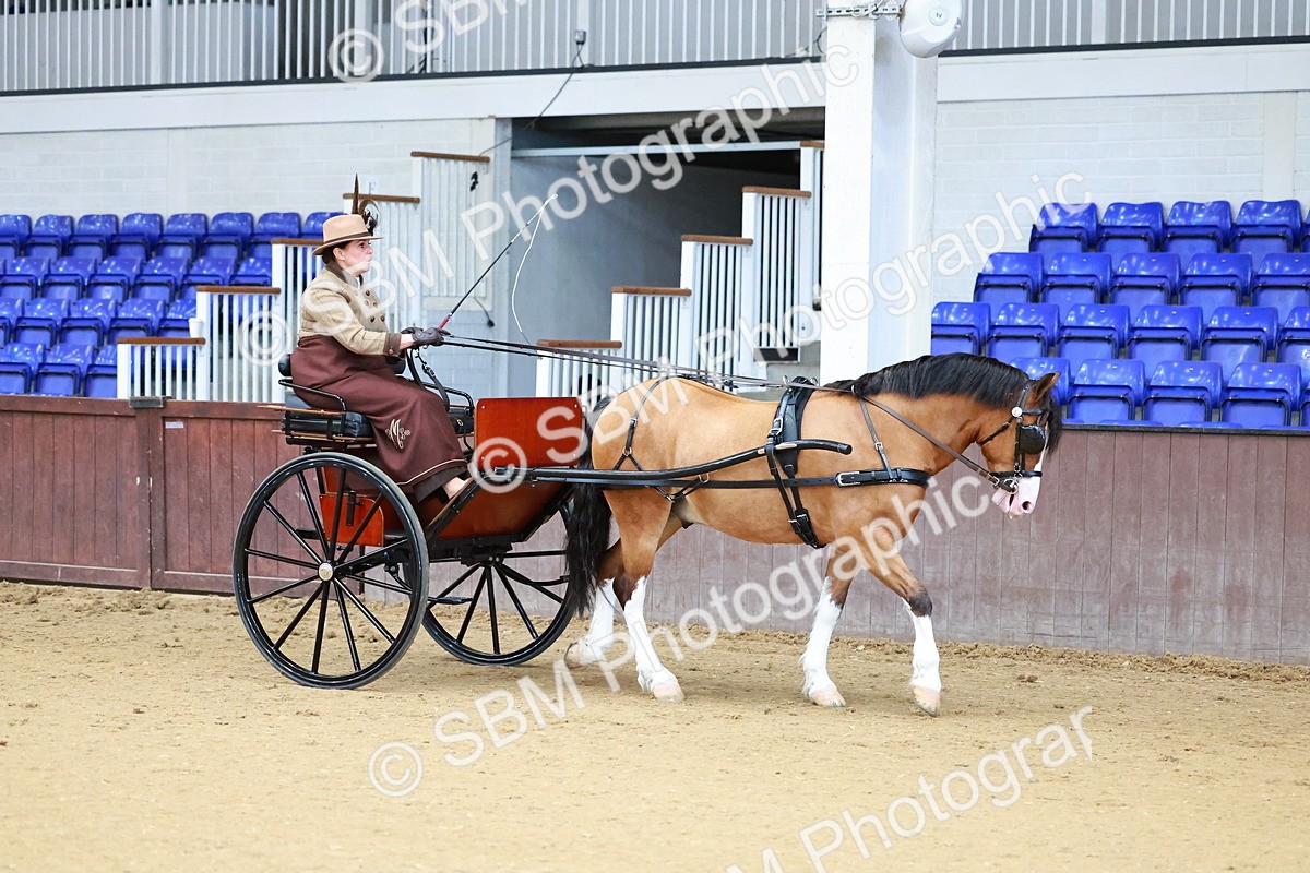 SBM_000086 - Class 3 - Alison Thomas Memorial Lady Whip