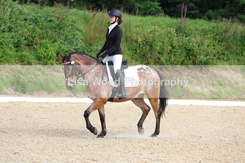 3E7A1430 - Class 2: Intro 2 2024 Section B