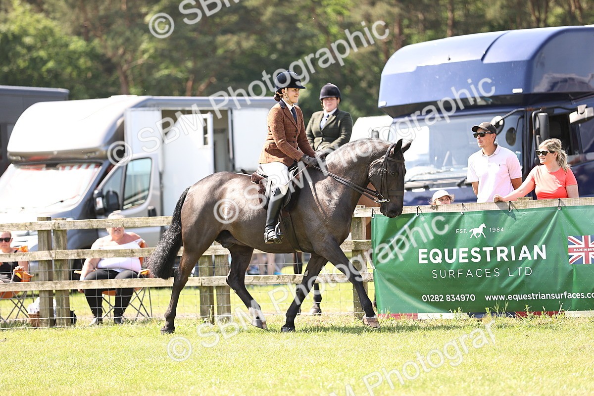 SBM_13700 - Class 77 - LIHS BSHA Rising Star Cobs