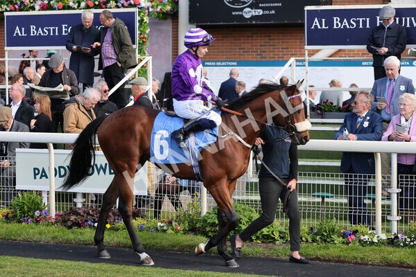 yr12052022r6-8 - Race 6 4.45pm Frank Whittle Partnership EBFstallions.com Maiden Stakes