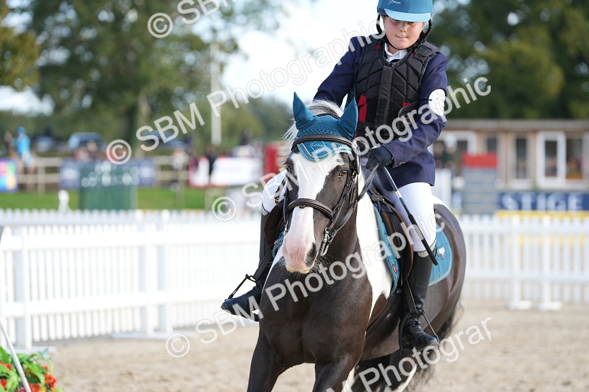 SBM_51032 - J8 - Junior Pony 65cm Championship