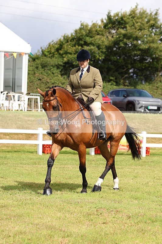 3E7A9424 - Class 4: Rising Star M/H Hunter