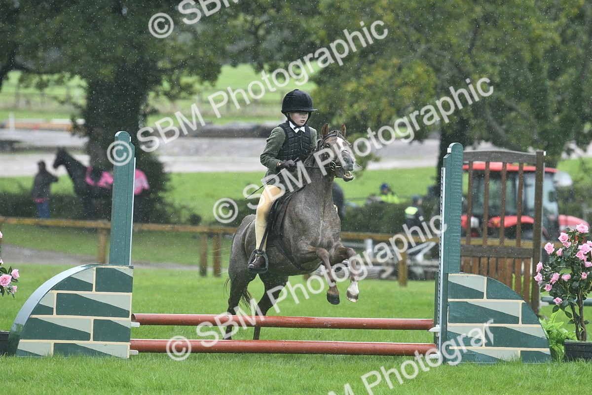 SBM_37134 - S31 - Novice & Newcomer Working Hunter Pony