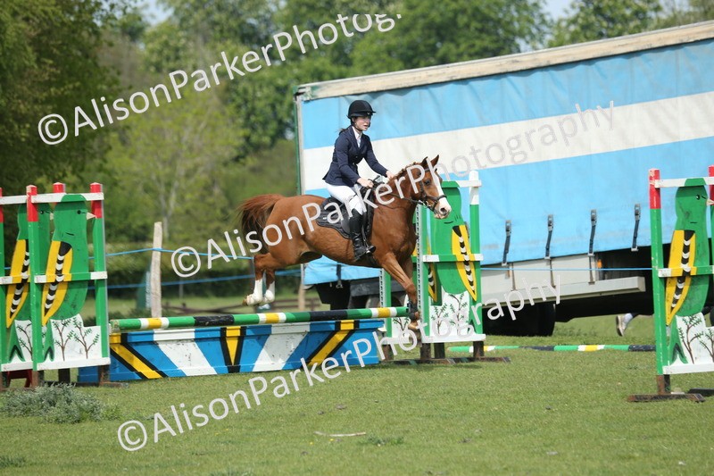 20260426-1726 - Class 14 - Novice 60cm