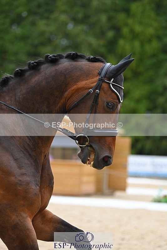 230813-171157-08588 - Cls 14 Medium Silver 16.45 to End