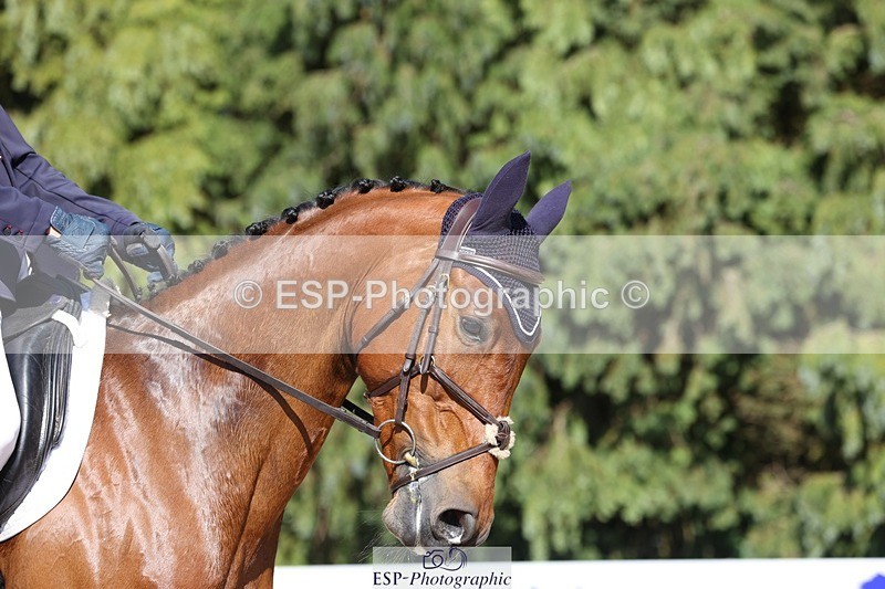 230526-165623-07867 - 173-HARIBO_LOUVO-Gaspard_Maksud-WEDTrotUp+DR