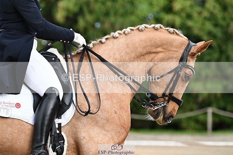 231110-153022-02222 - Cls 11 FEI PSG