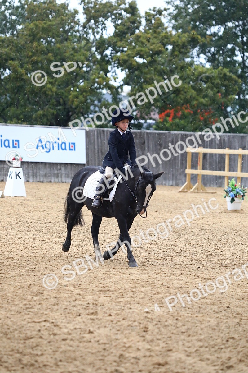 SBM_42804 - D21 - Junior Championship Intro 1
