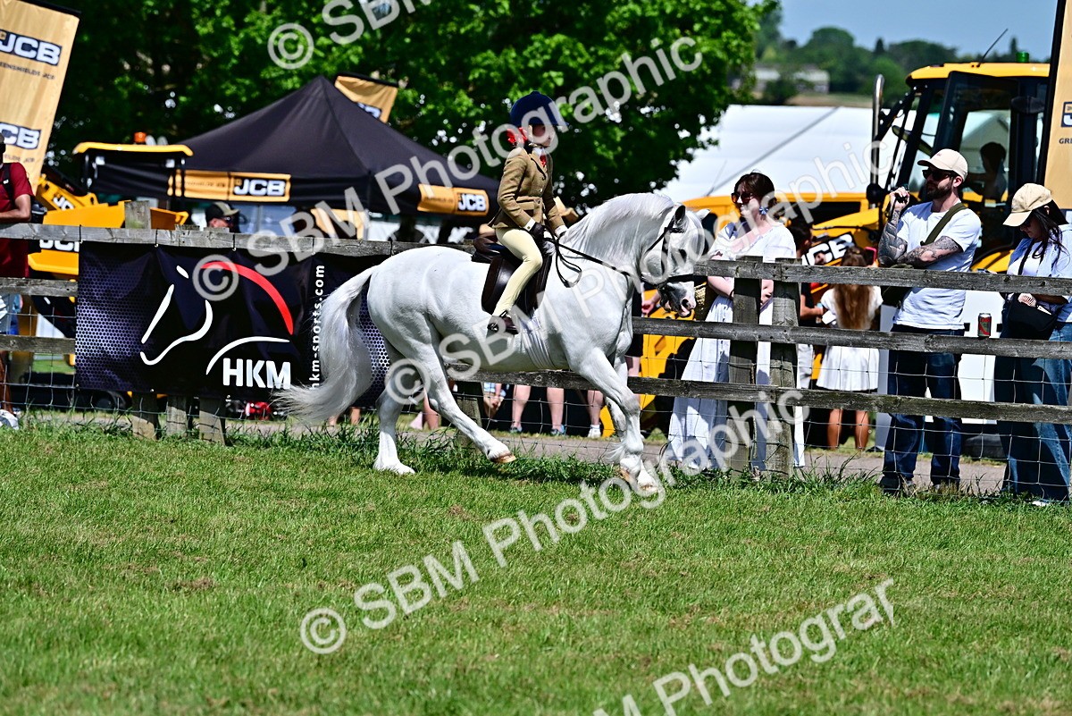 SBM_06089 - Class 59-60 - TSR M&M  Lear Rein and First Ridden Amateur of the year